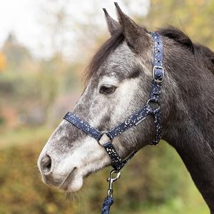 Hy Equestrian Elevate Allure Head Collar and Lead Rope (Navy/Gun Metal Grey)