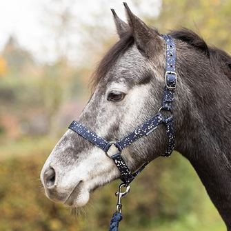 Hy Equestrian Elevate Allure Head Collar and Lead Rope (Navy/Gun Metal Grey)