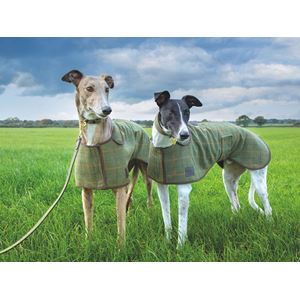 Shires Digby & Fox Tweed Greyhound Coat (XXXS - S)