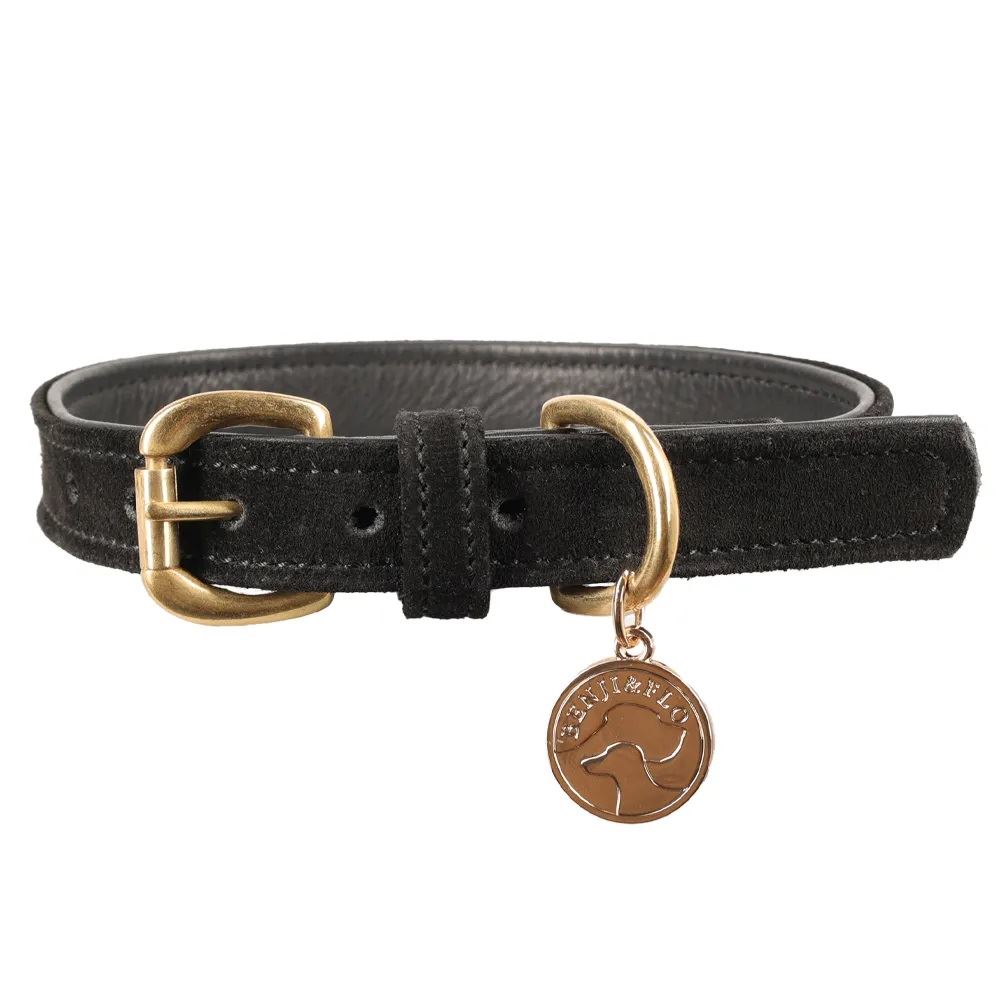 Benji & Flo Noble Suede Dog Collar (Black/Gold)