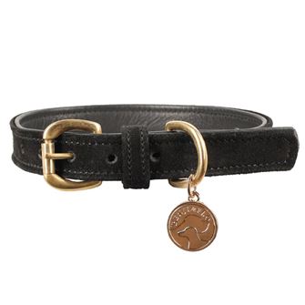 Benji & Flo Noble Suede Dog Collar (Black/Gold)