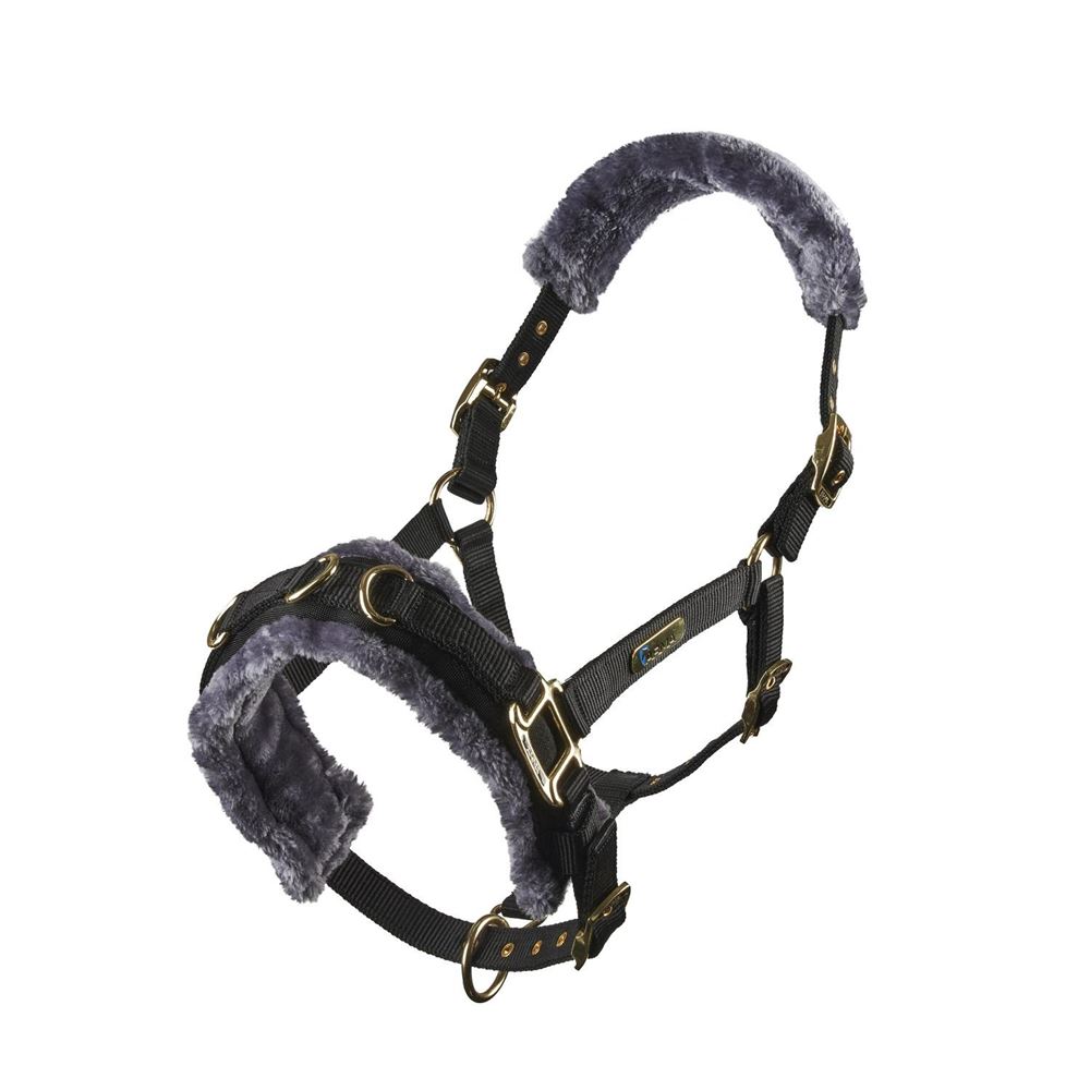 Shires Arma Fleece Lined Lunge Cavesson (Black)