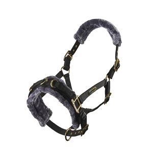 Shires Arma Fleece Lined Lunge Cavesson (Black)