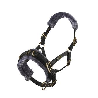 Shires Arma Fleece Lined Lunge Cavesson (Black)