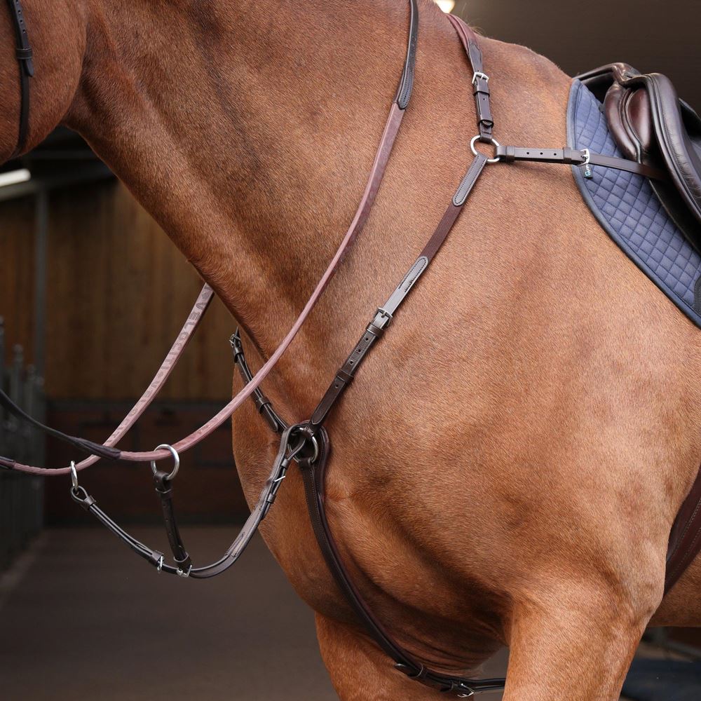 Shires Velociti Rapida Elastic Breastplate (Havana)