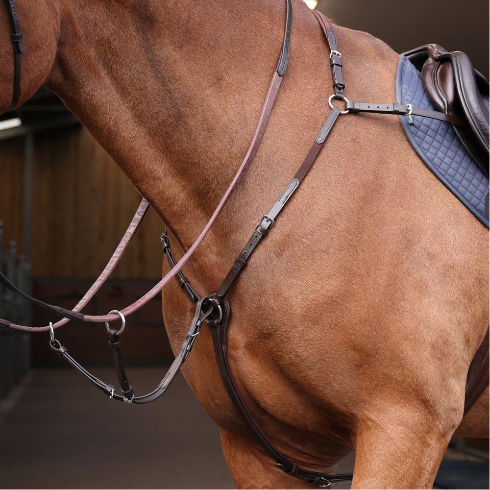 Shires Velociti Rapida Elastic Breastplate (Havana)