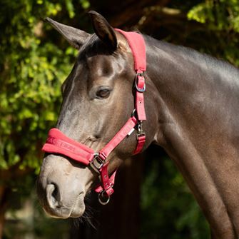 ProReaction Dura Fleece Head Collar by Hy Equestrian (Burgundy)