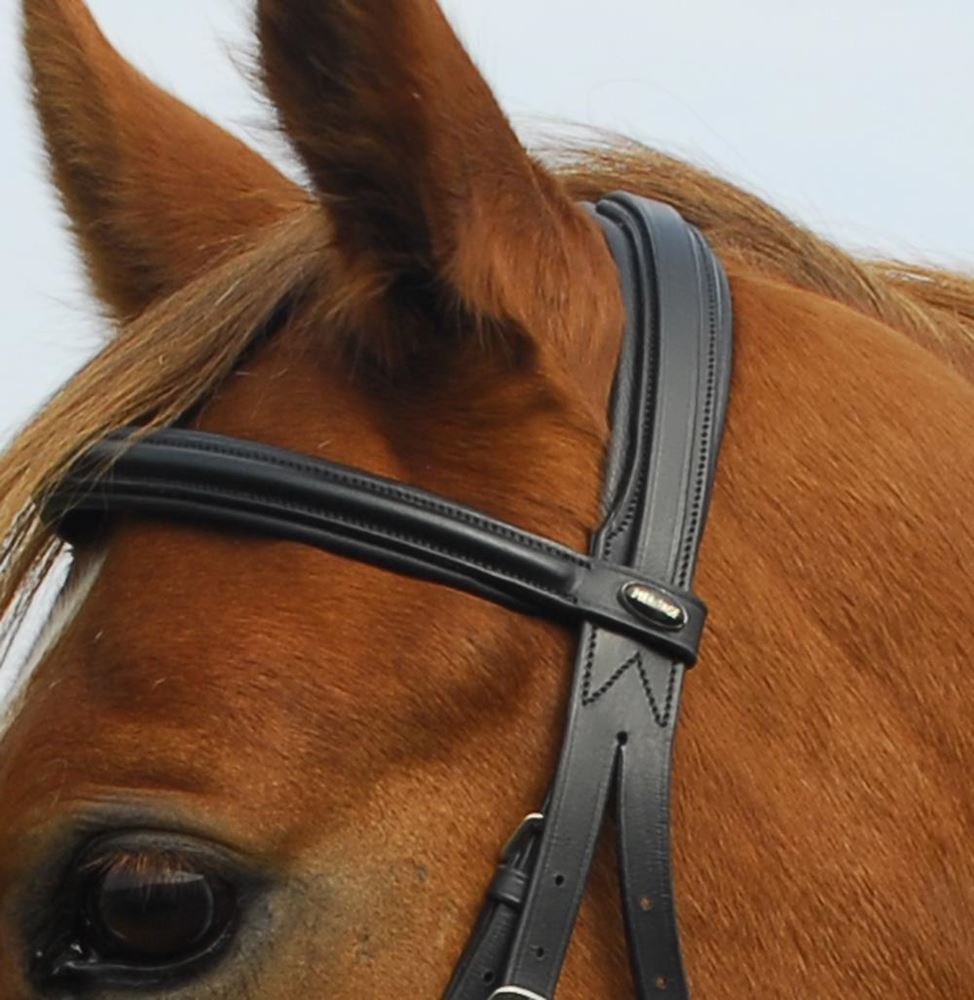 Heritage Saddlery English Leather Comfort Bridle with Cavesson Noseband
