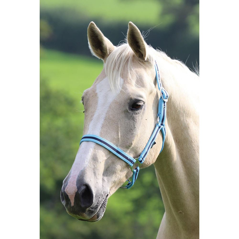 Shires Wessex Nylon Headcollar 