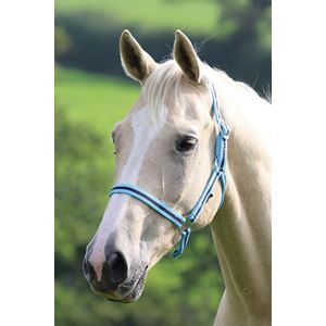 Shires Wessex Nylon Headcollar 