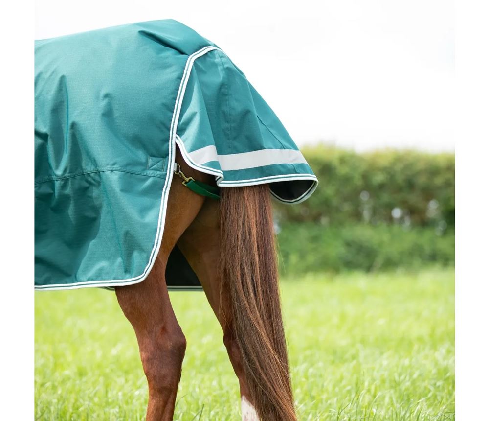 Shires Highlander Original 300 Turnout Rug (Green)