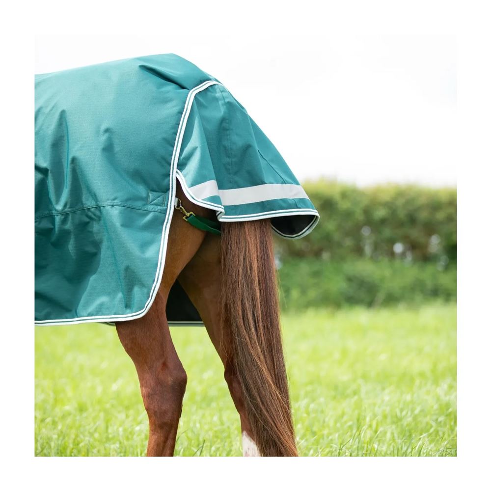 Shires Highlander Original 300 Turnout Rug (Green)
