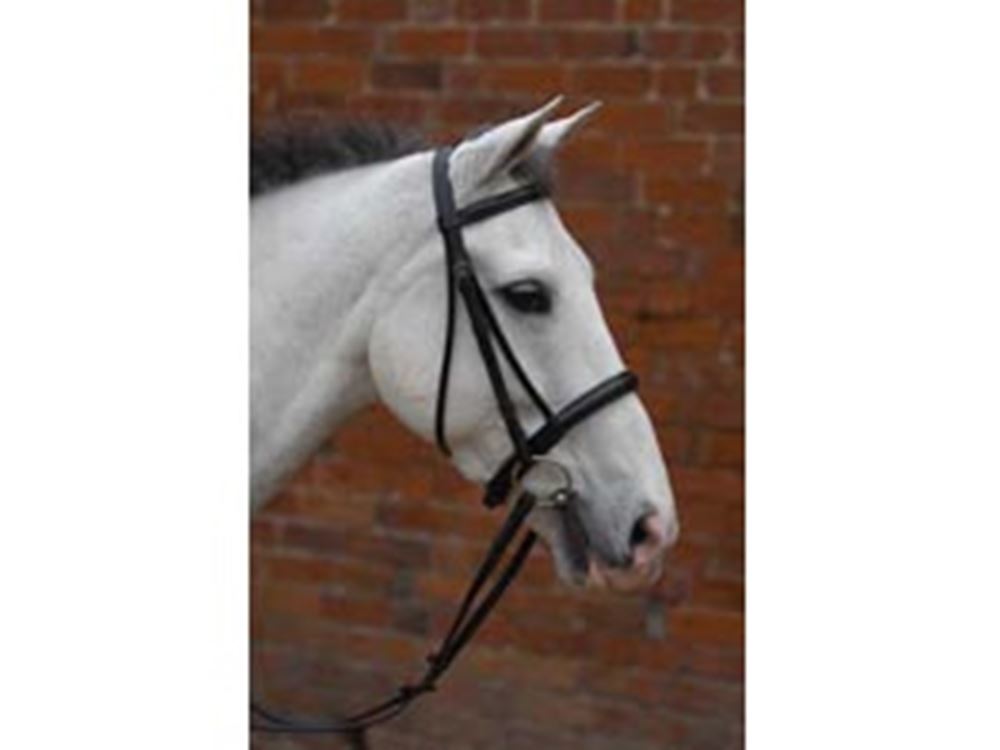Hy Padded Cavesson Bridle with Rubber Grip Reins