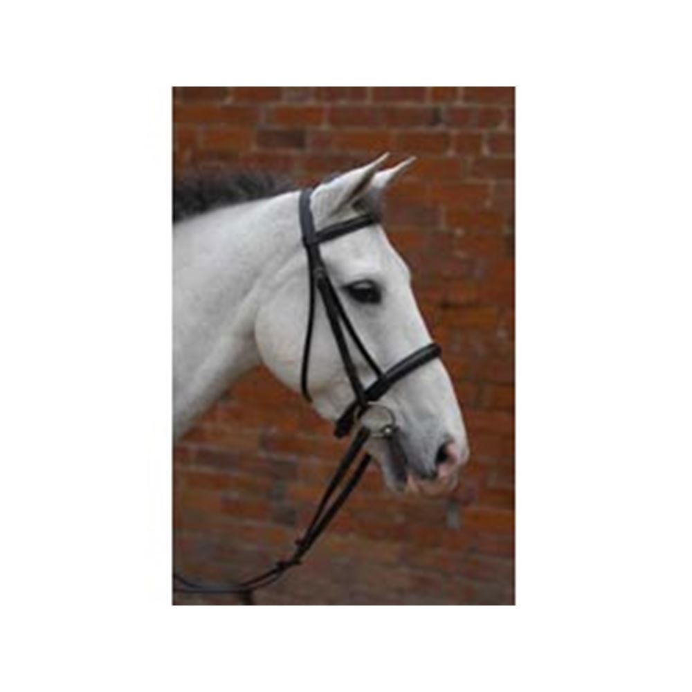 Hy Padded Cavesson Bridle with Rubber Grip Reins