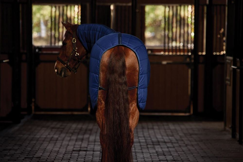 Weatherbeeta Comfitec Under Rug Combo - 220g (Navy)