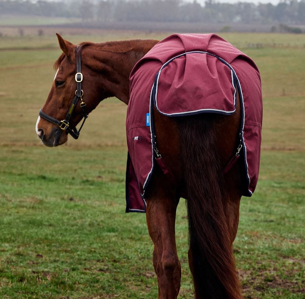 Weatherbeeta Comfitec Prelim Turnout Combo - 0g (Burgundy/Navy)