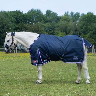 Gallop 600D PONIE 0g Duraproof 5-Point Turnout (Navy/Purple)