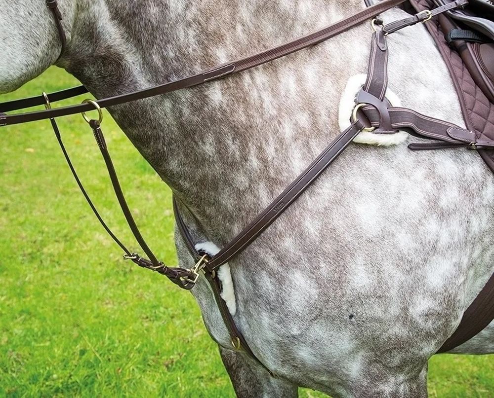 Shires Salisbury 5 Point Breastplate (Havana/Silver)