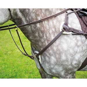 Shires Salisbury 5 Point Breastplate (Havana/Silver)