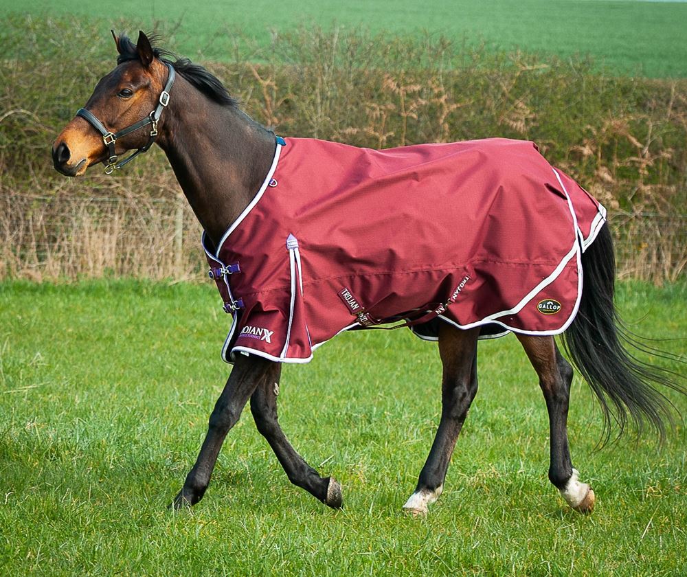 Gallop Trojan Xtra Lightweight Turnout Combo (Burgundy/White & Purple)