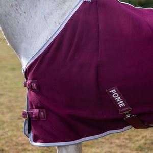 Gallop Ponie Burgundy Jersey Cooler Rug