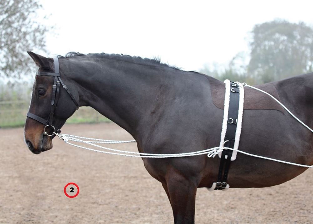 Shires Lunging Aid (Pessoa Style Training Aid)
