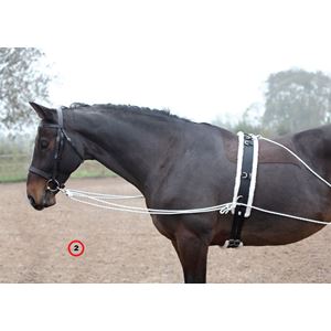 Shires Lunging Aid (Pessoa Style Training Aid)