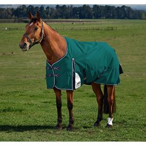 Weatherbeeta Comfitec Plus Dynamic Turnout Standard - 220g (Forest Green/Navy)