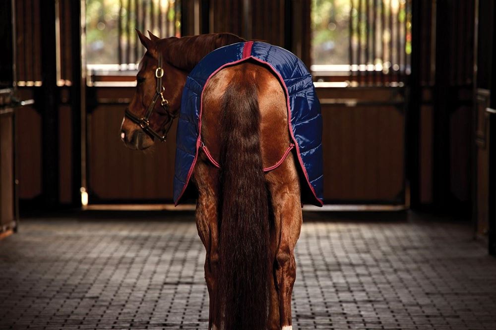 Weatherbeeta Comfitec 210D Channel Quilt Stable Standard - 100g (Navy/Burgundy)