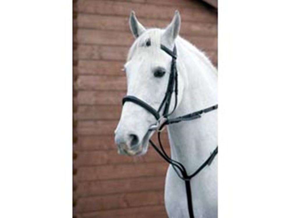 Hy Market Harborough