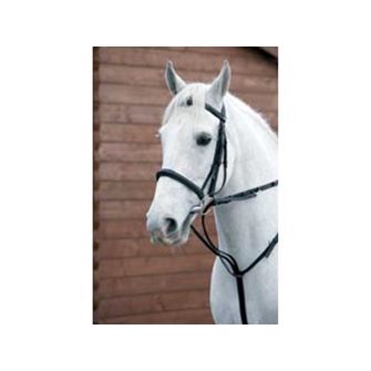 Hy Equestrian Market Harborough