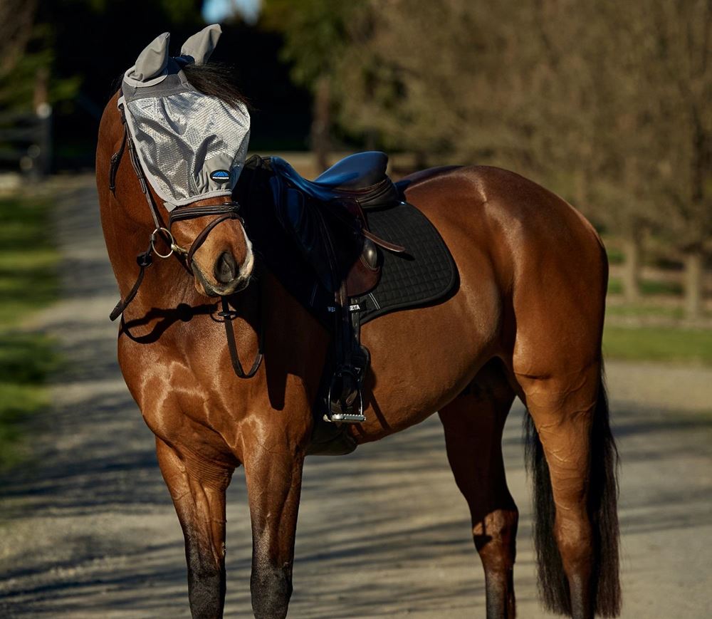 Weatherbeeta Comfitec Hexi Shield Ride On Fly Mask (Silver)