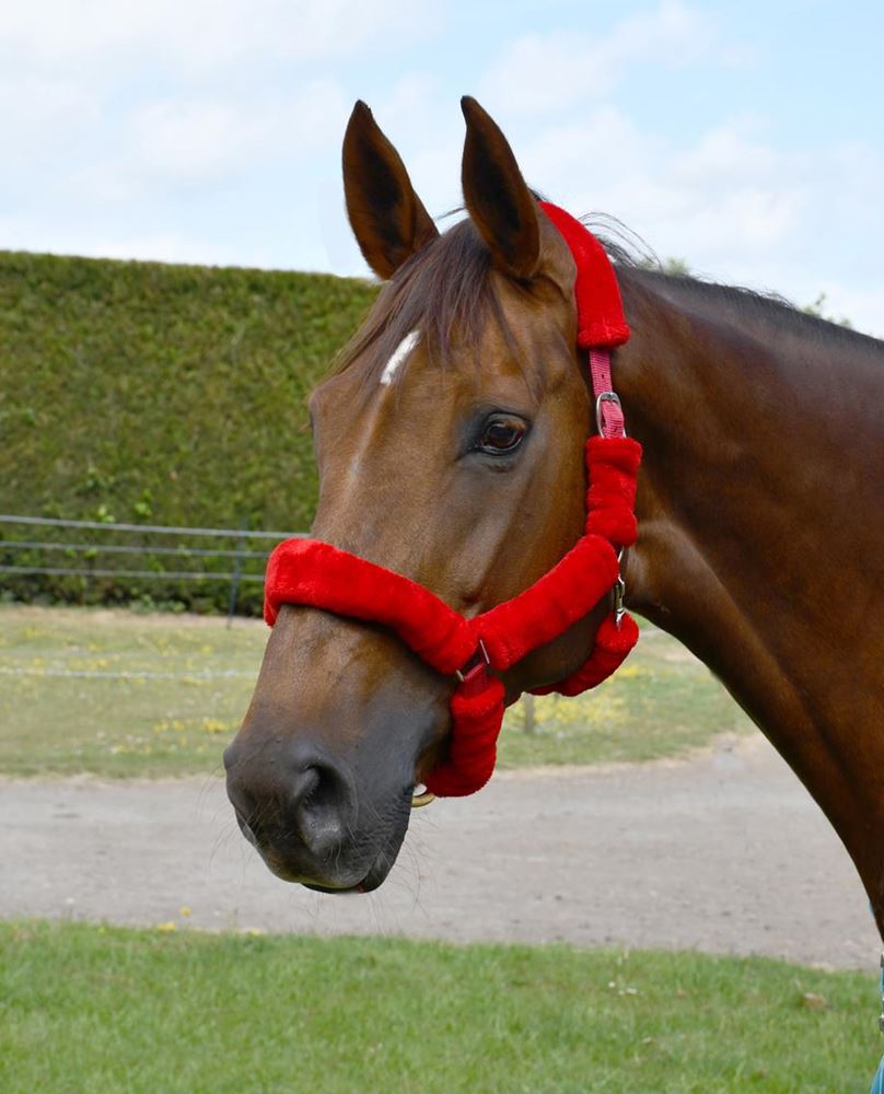 Rhinegold Fur Trim Headcollar (Red)