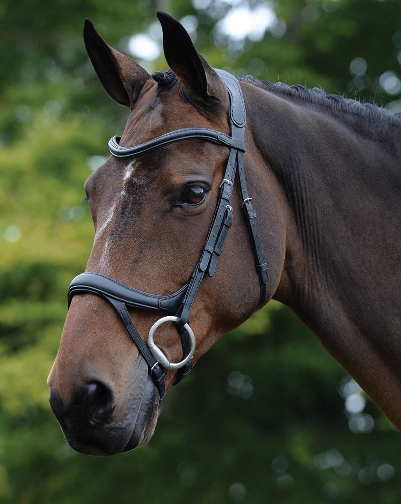 Collegiate Comfitec Vogue Anatomical Bridle