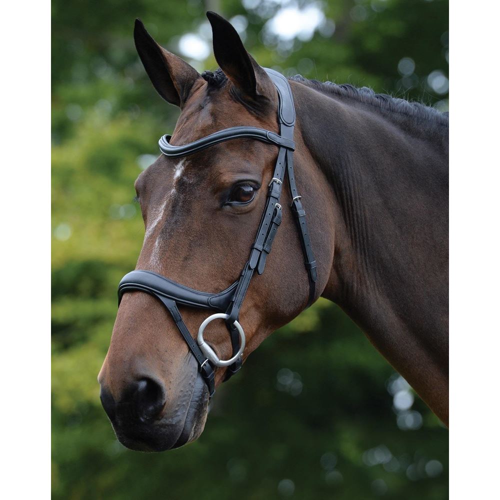 Collegiate Comfitec Vogue Anatomical Bridle