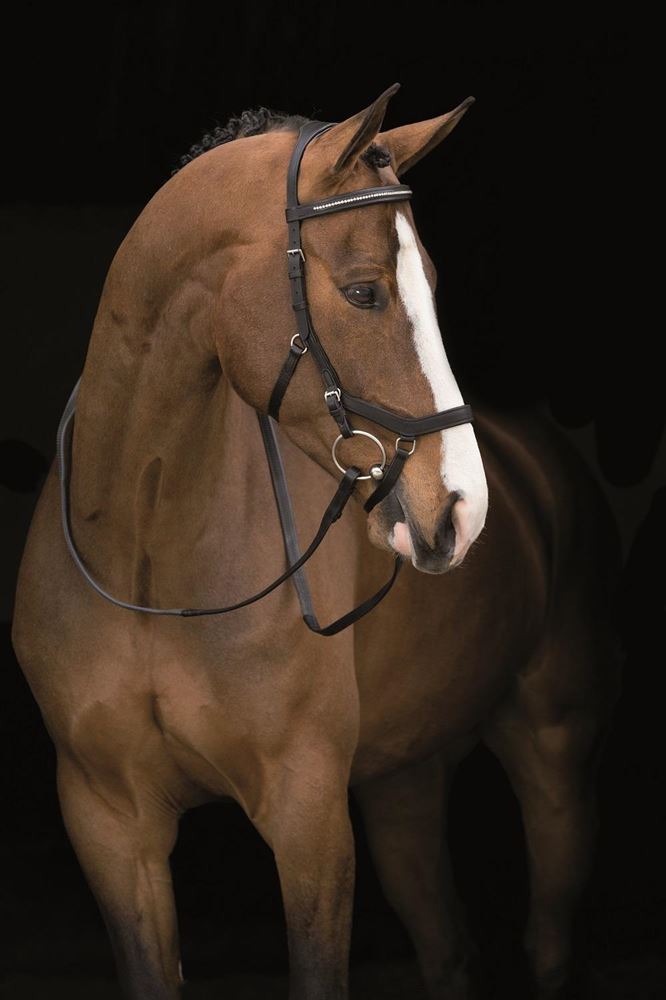 Rambo Micklem Diamante Competition Bridle (No reins)