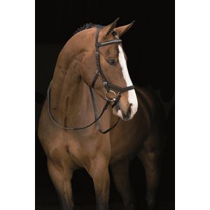 Rambo Micklem Diamante Competition Bridle (No reins)