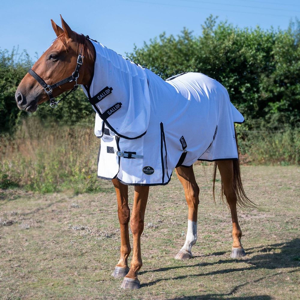 Gallop Classic Fly Rug Combo