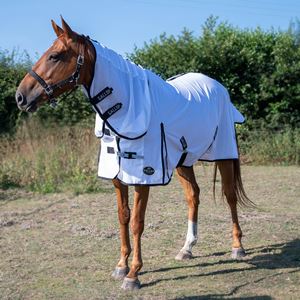 Gallop Classic Fly Rug Combo