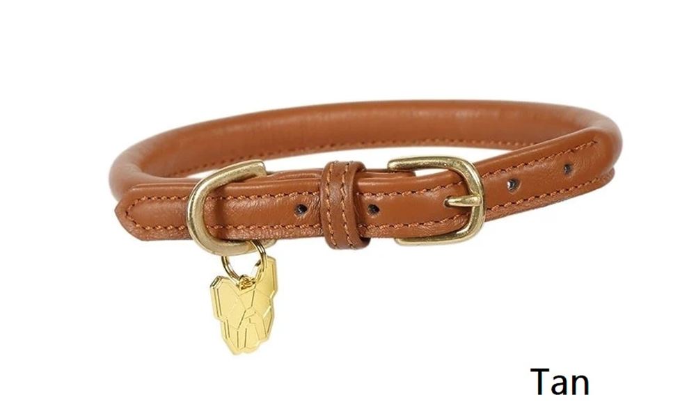 Shires Digby & Fox Rolled Leather Dog Collar (L - XXL)