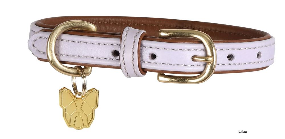 Shires Digby & Fox Padded Leather Dog Collar (L)