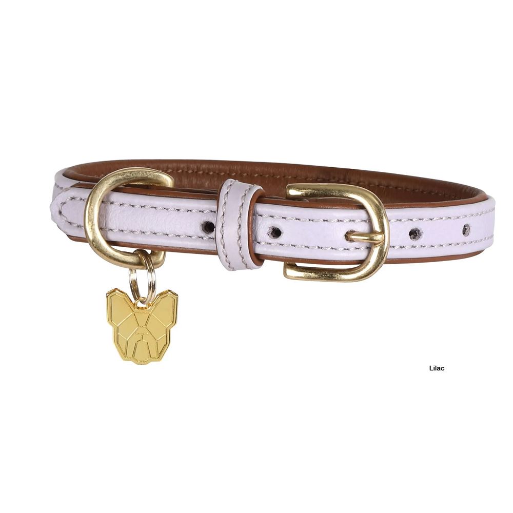 Shires Digby & Fox Padded Leather Dog Collar (L)