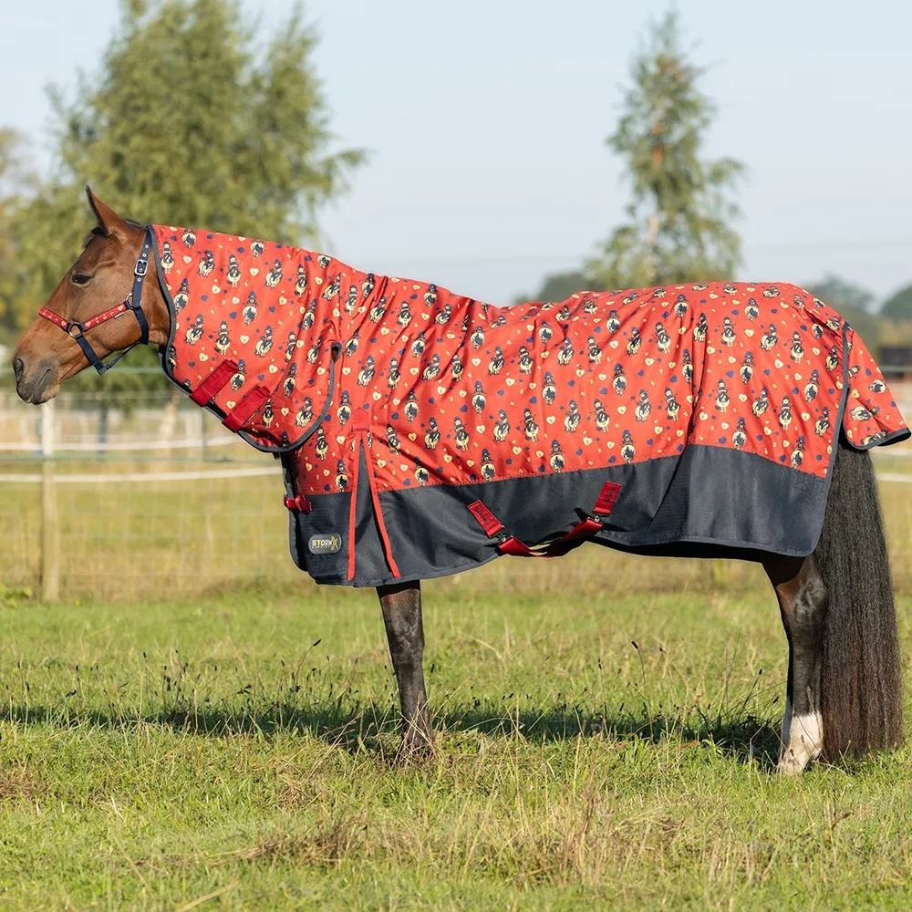 Hy Equestrian StormX Original 200 Combi Turnout Rug - Thelwell Collection Balancing Act