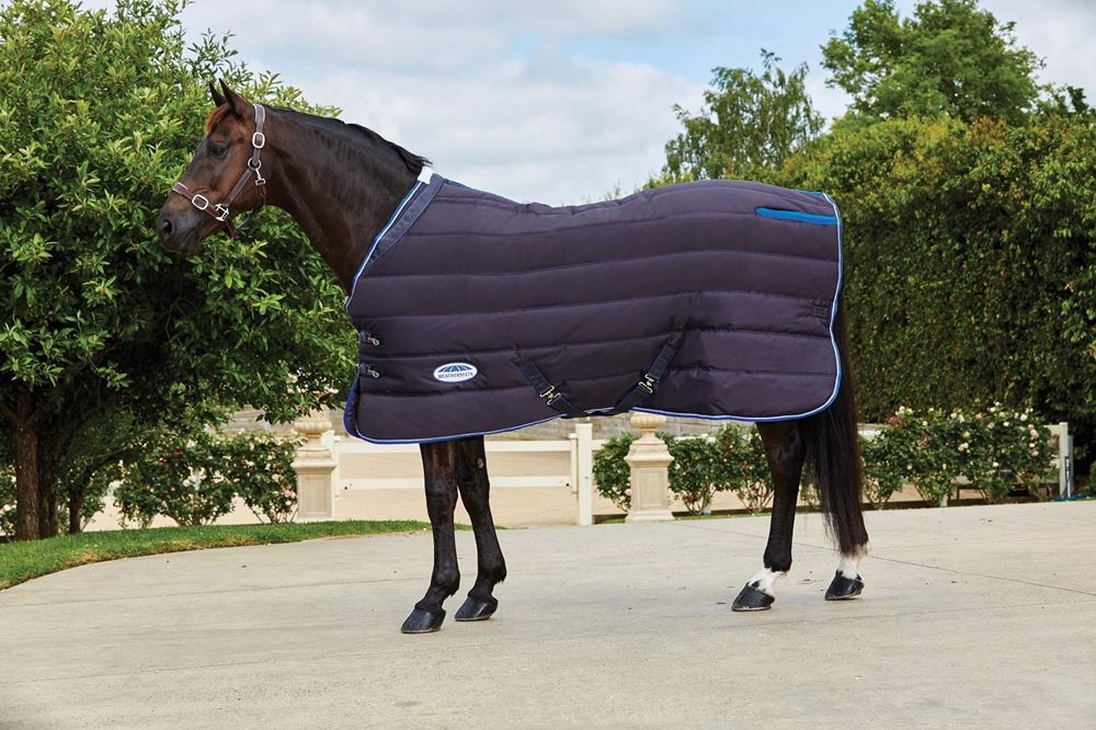 Weatherbeeta ComFiTec 600D Channel Quilt Standard Neck Medium