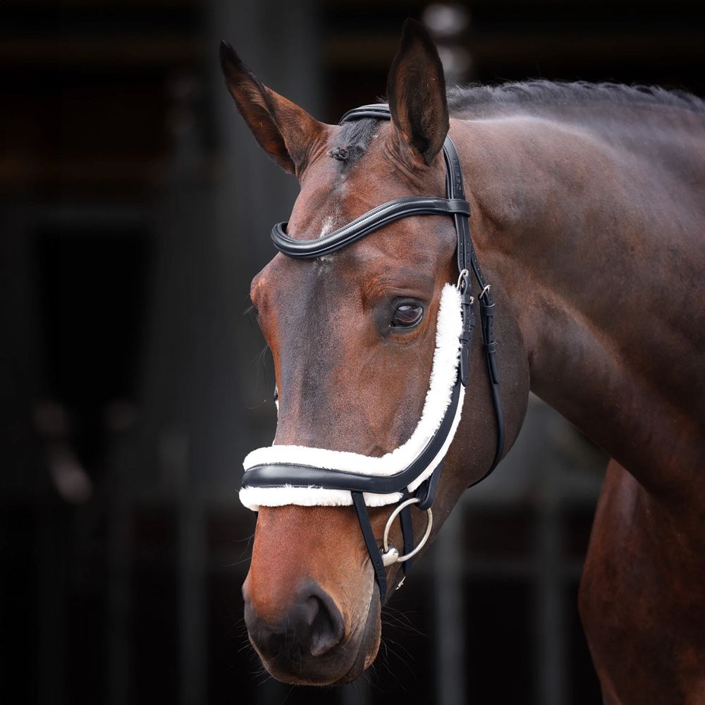 Shires Velociti Rapida Fleece Lined Curved Flash Noseband