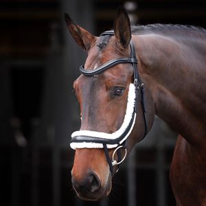 Shires Velociti Rapida Fleece Lined Curved Flash Noseband