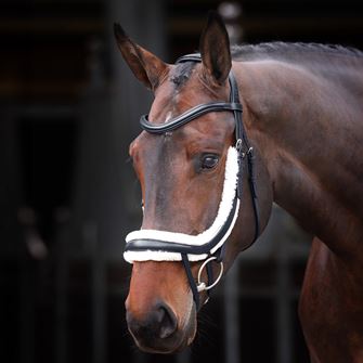 Shires Velociti Rapida Fleece Lined Curved Flash Noseband