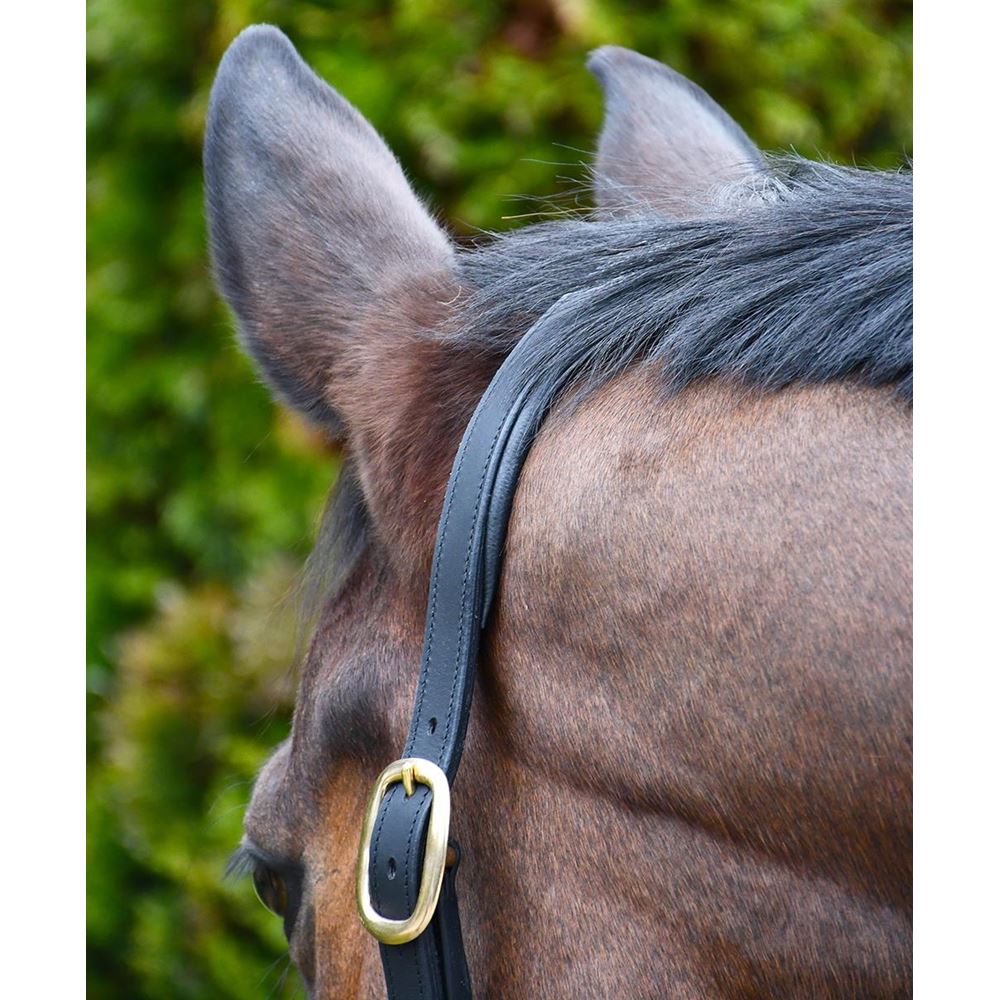 Rhinegold Bellagio Leather Headcollar With Brass Clincher Detailing