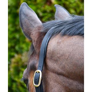 Rhinegold Bellagio Leather Headcollar With Brass Clincher Detailing