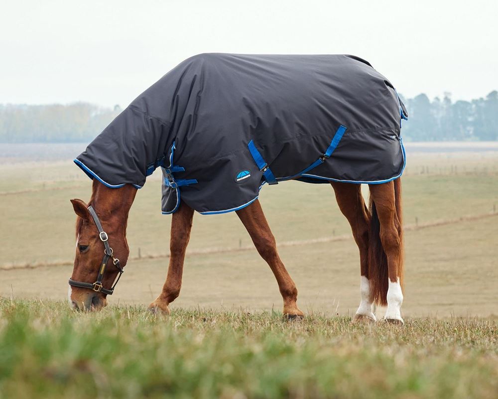 Weatherbeeta Comfitec Tyro Turnout Combo - 220g (Black/Cobalt)